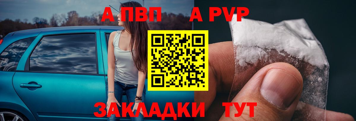 Alfa_PVP СК Лесной
