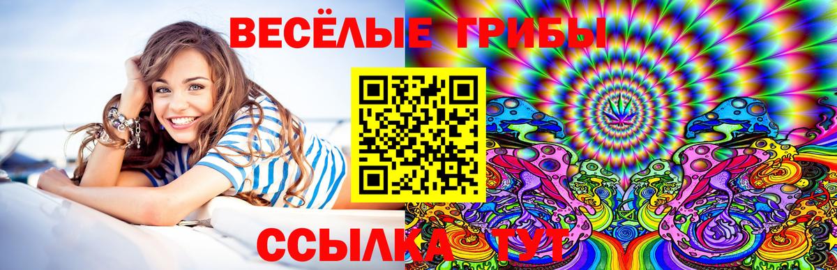 Галлюциногенные грибы мицелий Лесной